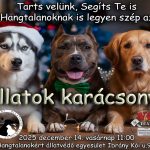 Állatok karácsonya 2025 fb