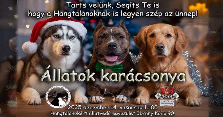 Állatok karácsonya 2025 fb