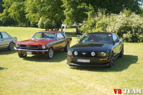 2025-05-31-Idolz-007