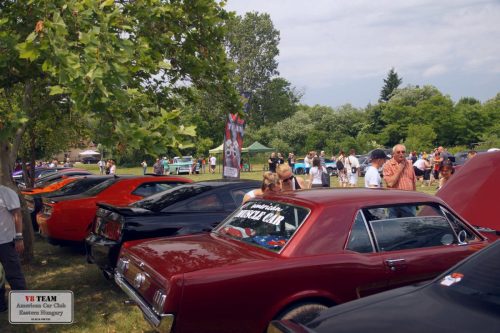 2025-06-07-Bogacs-001