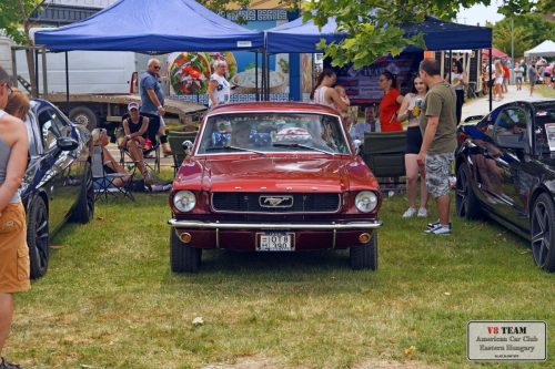 2025-06-07-Bogacs-010