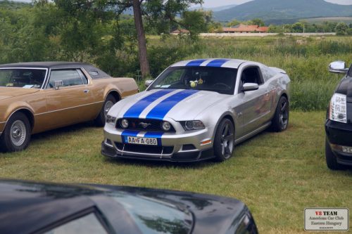 2025-06-07-Bogacs-013