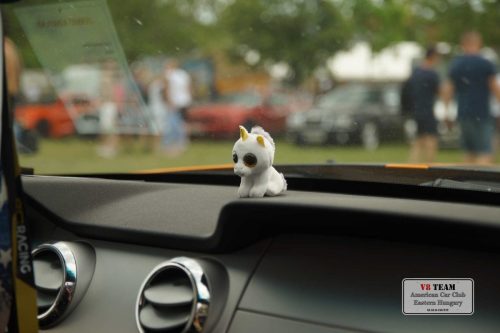 2025-06-07-Bogacs-023