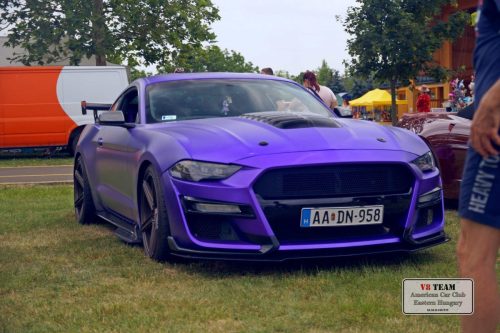 2025-06-07-Bogacs-026