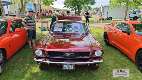 2025-06-07-Bogacs-052