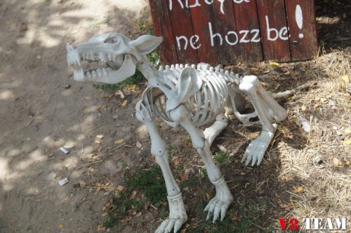 2025-07-26-henrix-023