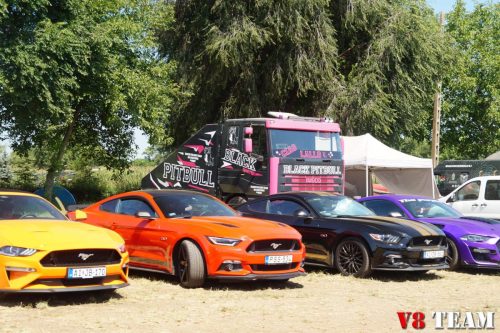 2025-08-10-Traktorpulling-033