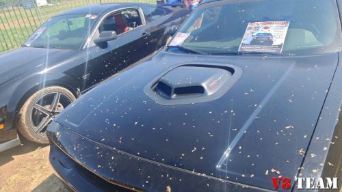 2025-08-10-Traktorpulling-043