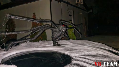 2025-10-31-halloween-051