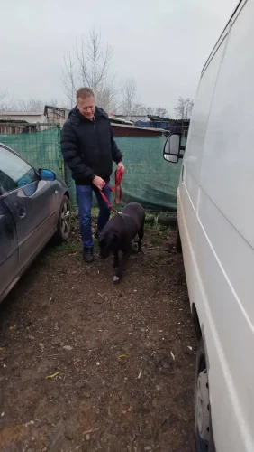 2025-12-14-hangtalanok-002