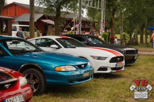 2026-05-30 V8 Team a Bertók tónál