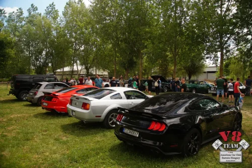 2026-05-30 V8 Team a Bertók tónál