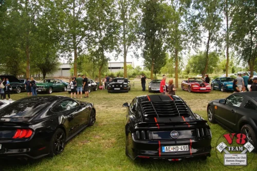 2026-05-30 V8 Team a Bertók tónál