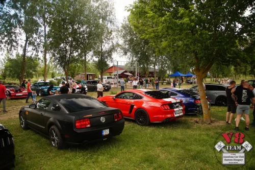 2026-05-30 V8 Team a Bertók tónál