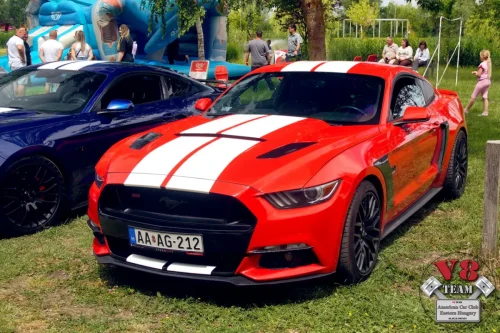2026-05-30 V8 Team a Bertók tónál
