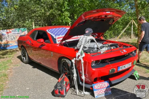 4-V8 Team Levelek
