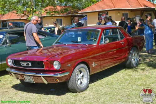 4-V8 Team Levelek