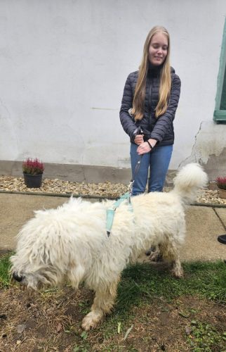 557490830 1146424670916658 7678942636388876114 n