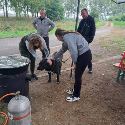 558130747 1146423144250144 1833108871849091508 n