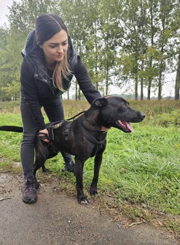 558209102 1146421974250261 8094196088679201023 n