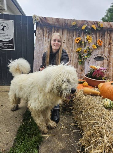 558233906 1146421180917007 8126142874043195728 n