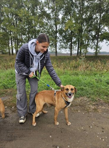 558264393 1146421704250288 831640804823377698 n