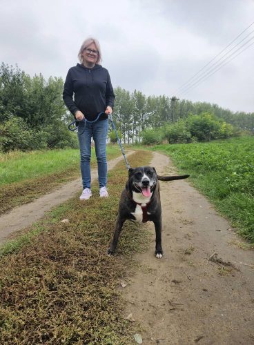 558279022 1146422167583575 2419813190439006103 n