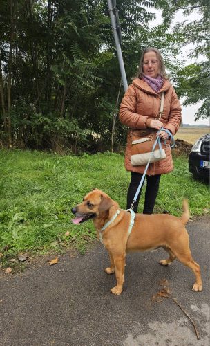 558284073 1146422264250232 8094550114589968435 n