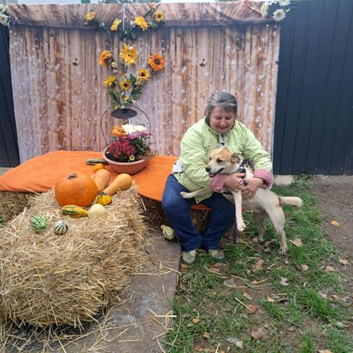 558287388 1146422864250172 3707695122152806478 n