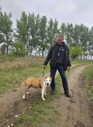 558290357 1146421437583648 430938966072484403 n