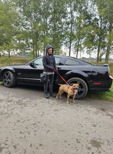 558379145 1146422680916857 4092451659882451881 n