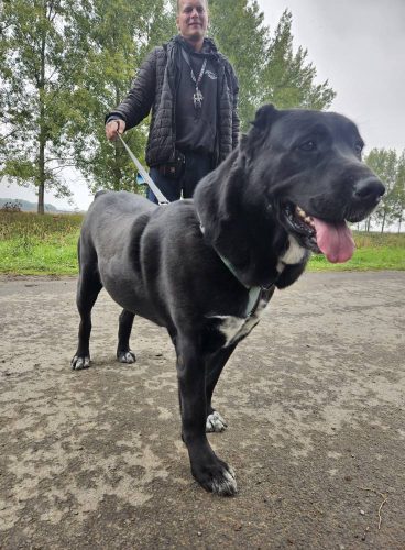 558431994 1146422494250209 1835802342891486342 n