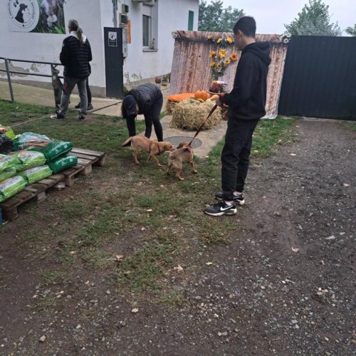 558441133 1146422944250164 4174195382651315373 n