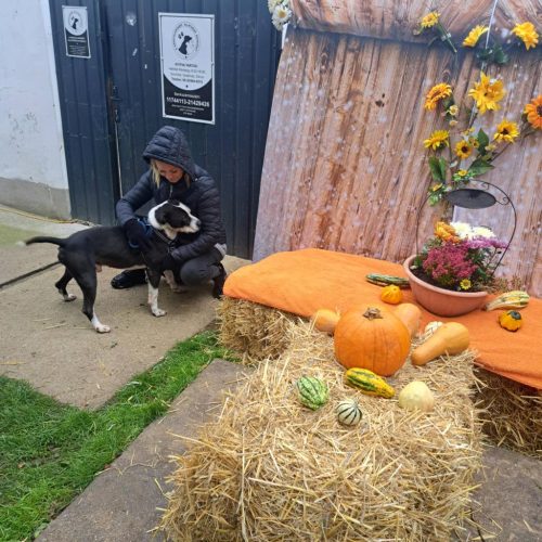 558449898 1146423040916821 4571463488507709751 n