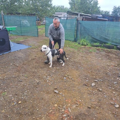 558462257 1146422984250160 1342264818561877762 n