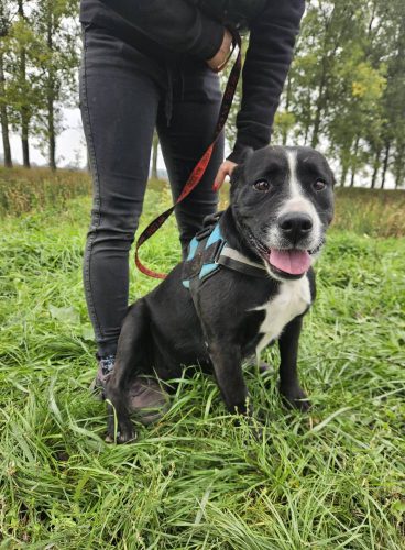 558465070 1146422540916871 3914329570815931071 n