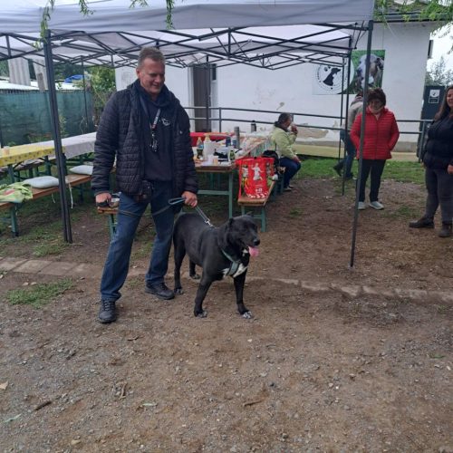 558745672 1146423210916804 7845212894558468922 n