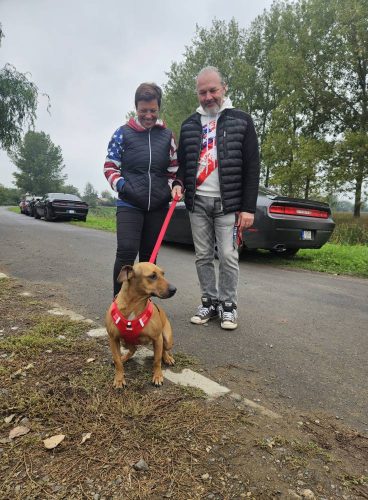 558747757 1146421524250306 8414814487481492918 n