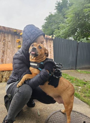 558750784 1146421110917014 1076299858442674283 n