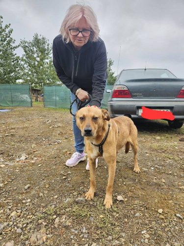 558783285 1146422400916885 1011085878294448735 n