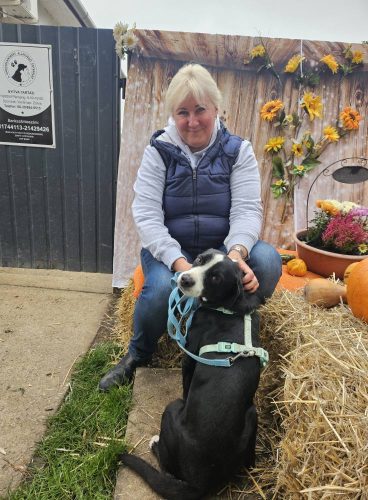 558861730 1146422064250252 5403065568948078770 n