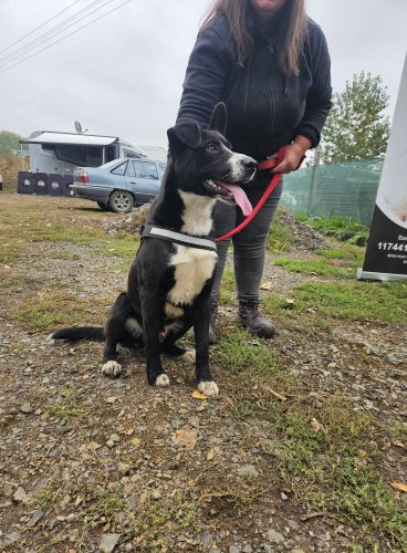 558889683 1146422590916866 7489234567233699195 n