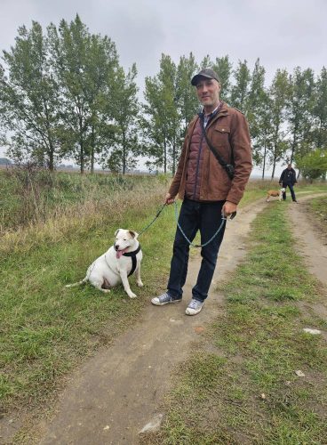 558943243 1146421404250318 7393533778235052788 n