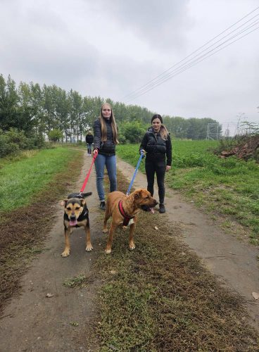 558960387 1146422130916912 6434694935035773764 n