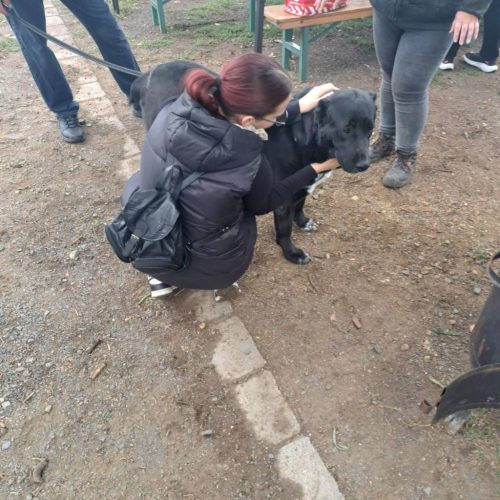 559066845 1146423177583474 6773689985144502469 n