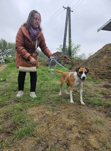 559239119 1146422644250194 5996088000294484705 n