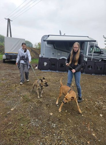 559522542 1146421944250264 8964529757019111359 n