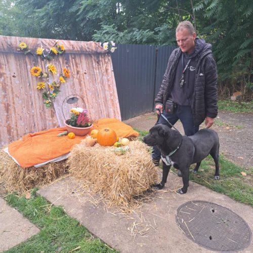 559609809 1146423104250148 8903877207769075637 n