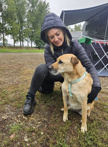 559968273 1146421757583616 4494579675587914978 n