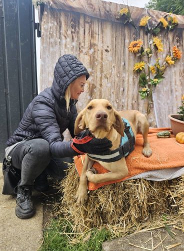 559972337 1146422220916903 6921550090855191198 n